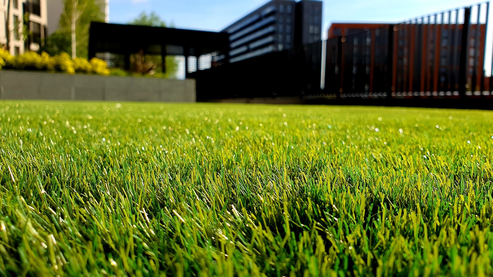 Crew maintaining a residential lawn and landscape beds